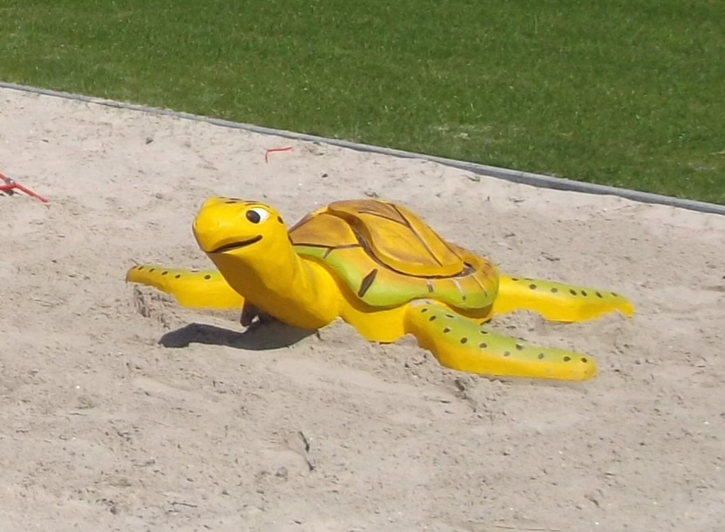 7.4.2.1 Waterschildpad met knikkerbaan
