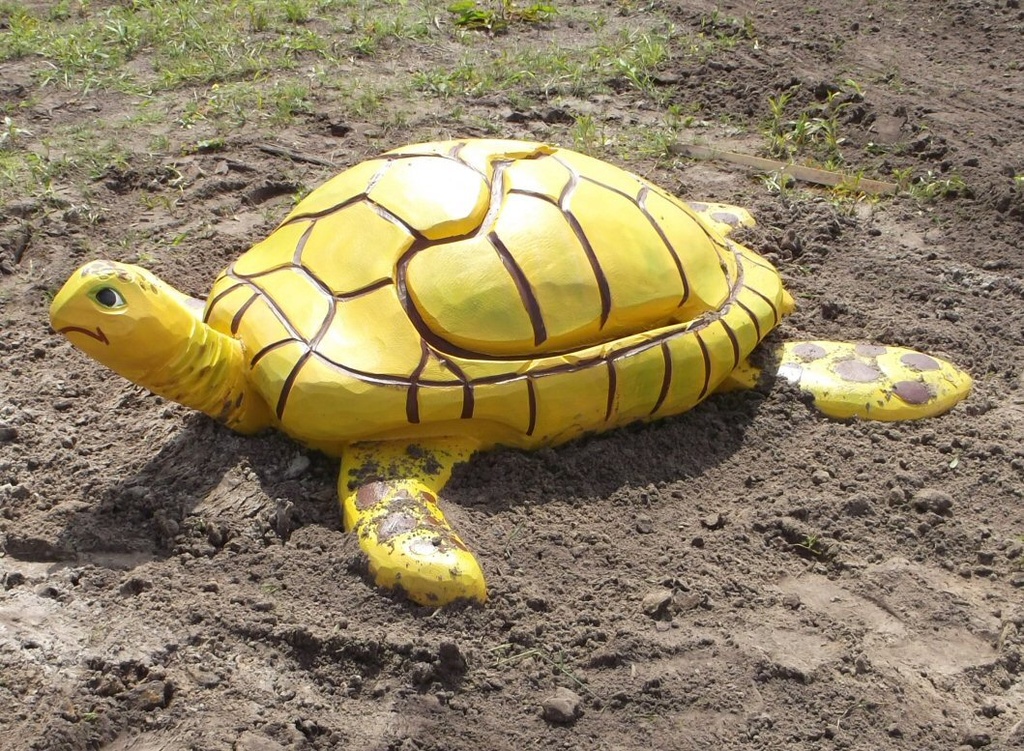 7.4.2.1 Waterschildpad met knikkerbaan