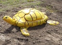 7.4.2.1 Waterschildpad met knikkerbaan