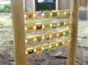 7.150.3.24 Memoryspel dieren vrijstaand