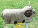 1.28.1 Veerwip Schaap - Bok