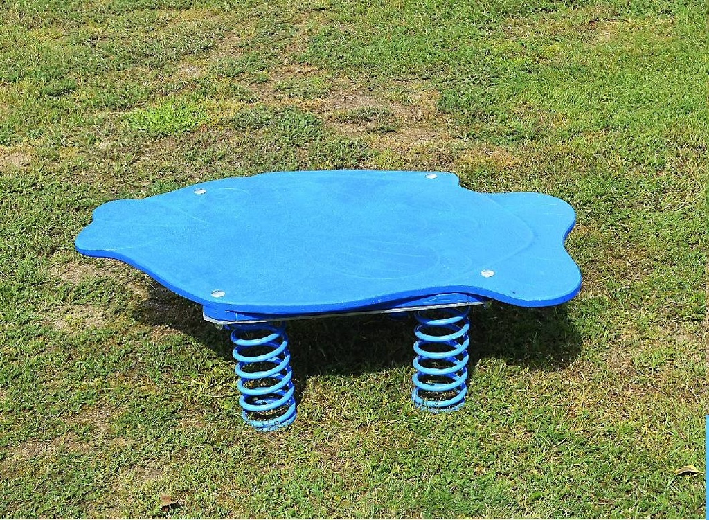 1.50.7 Springplaat model Vis