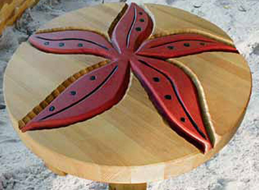 8.2.4 Zandtafel Zeester PW
