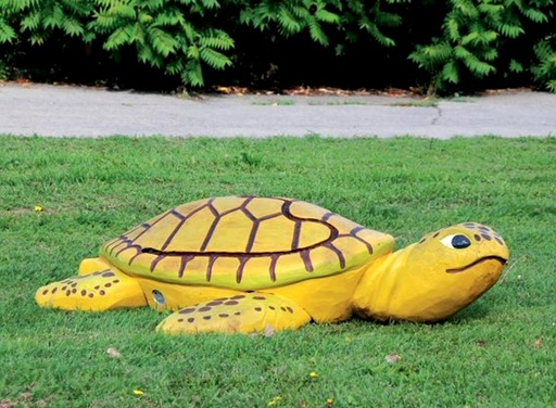 7.4.2.1 Waterschildpad met knikkerbaan
